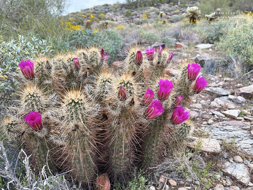 Gateway Loop Trail