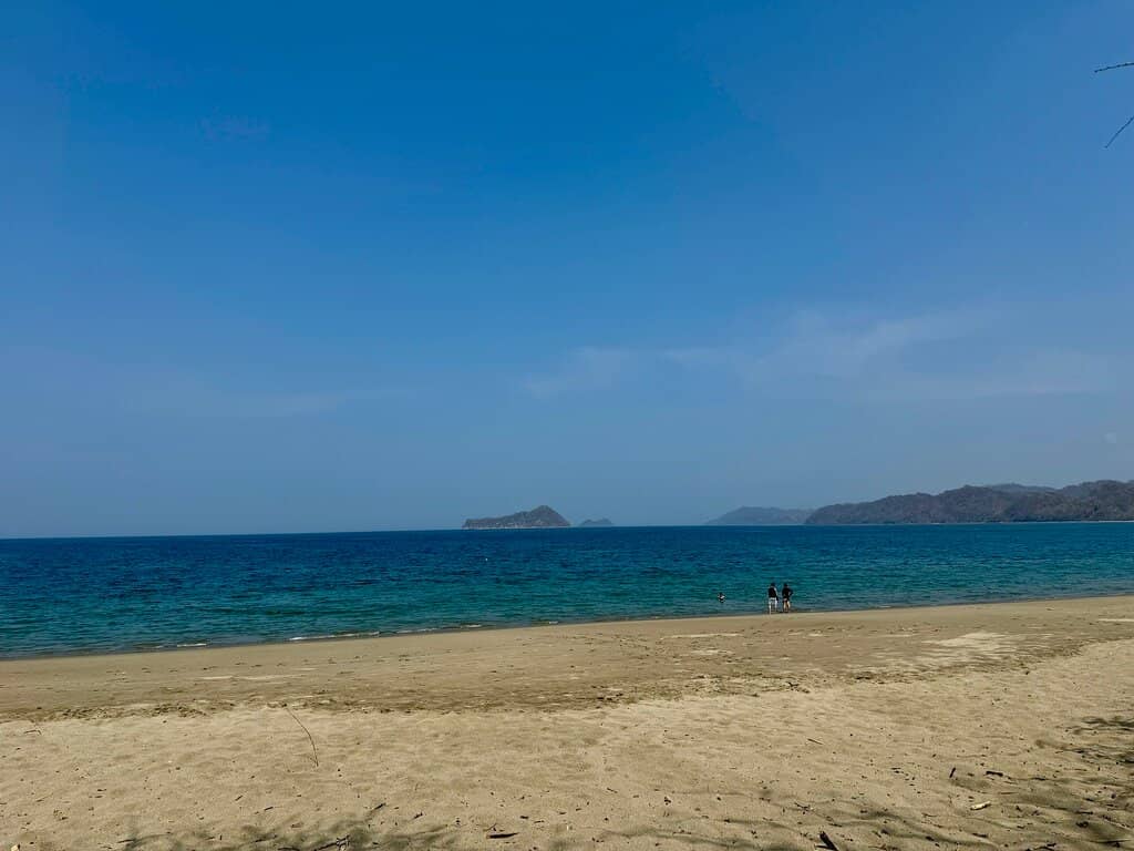 Abundant Wildlife Viewing