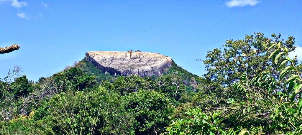 Panoramic Mountain Views