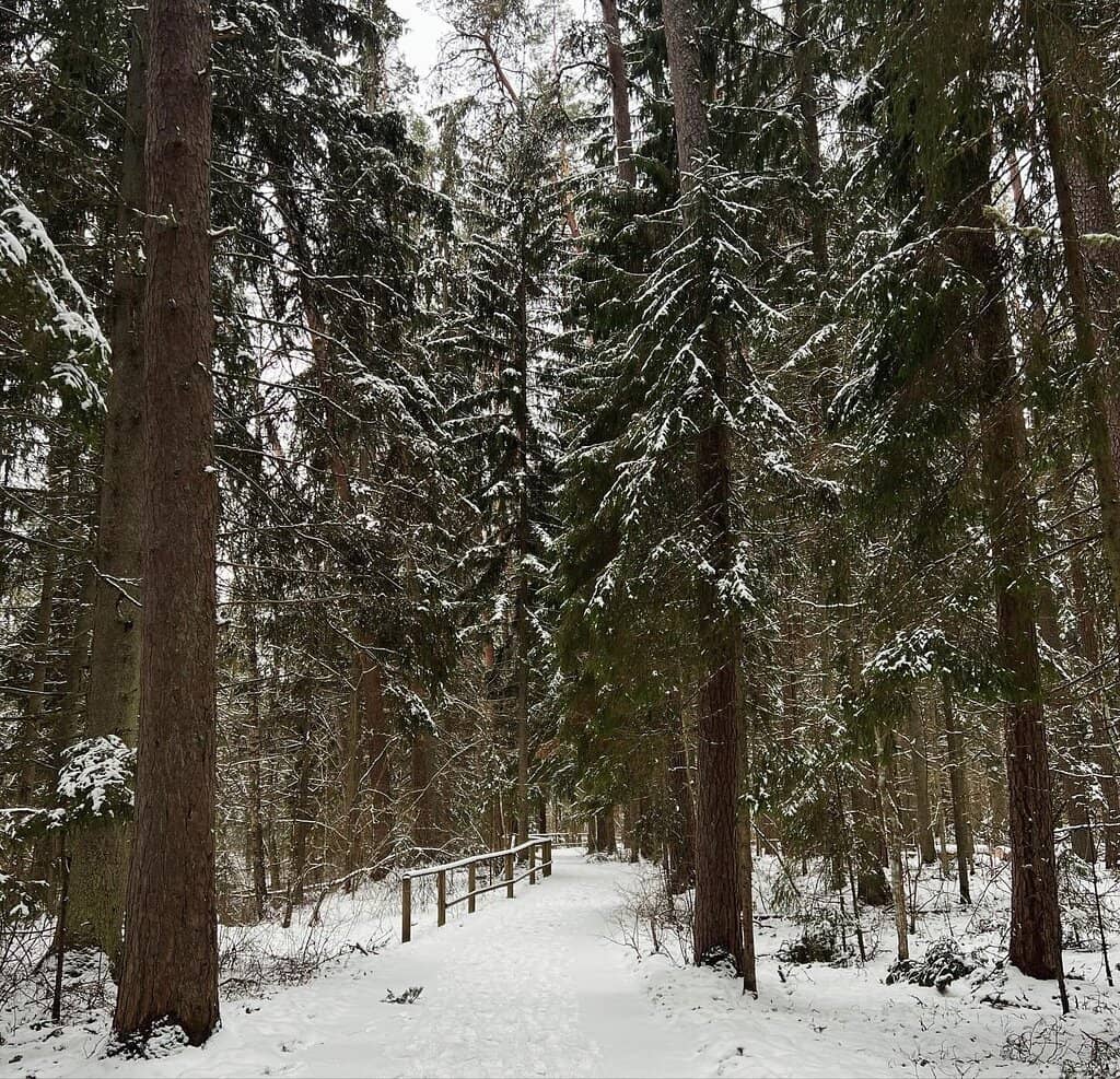 Nature Trails