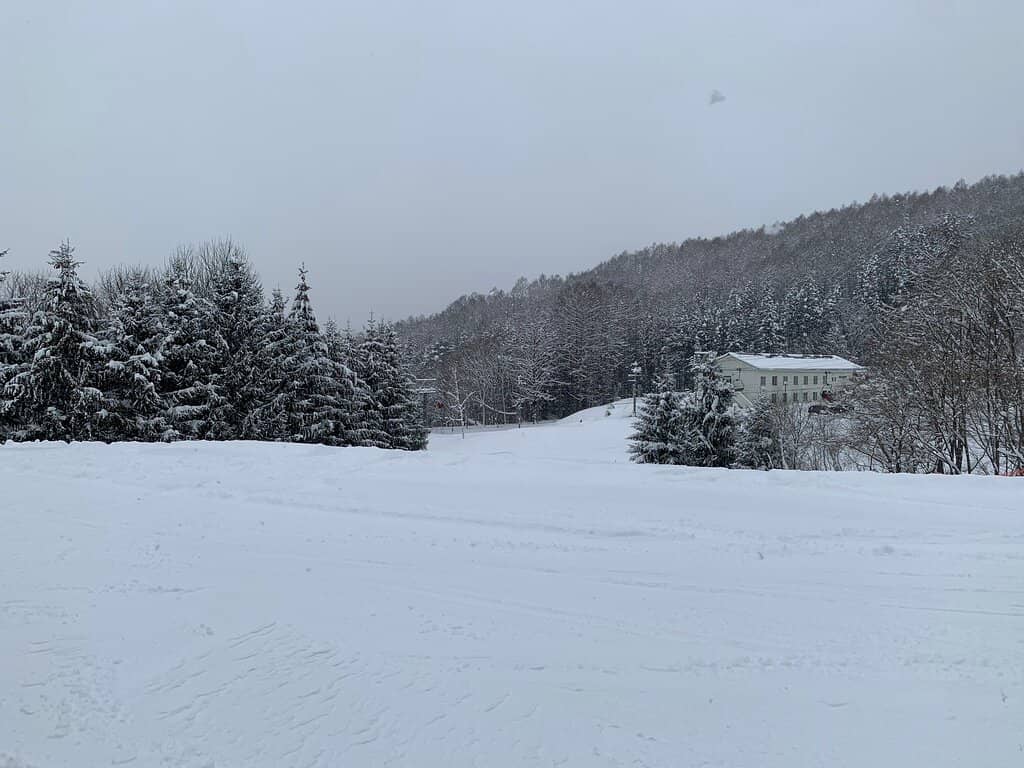 Snow Play Area