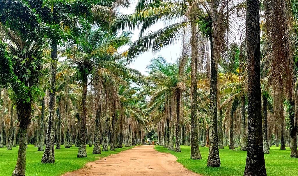 Educational Flora Exploration