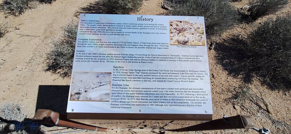 Fenced Walkway Views