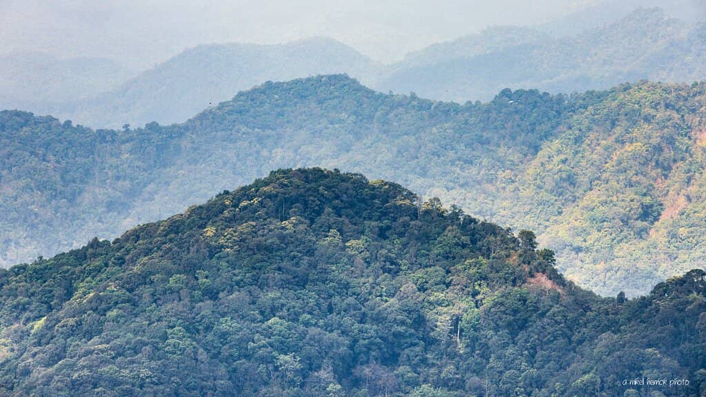 Expansive Mountain Vistas