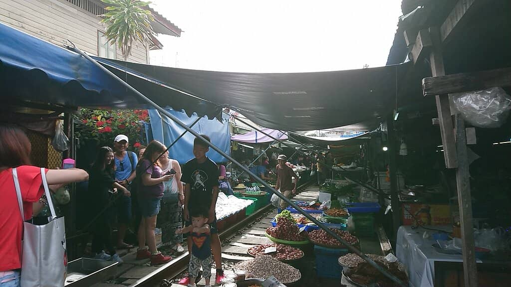 The Train Ride Experience