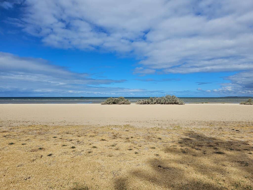 Coastal Strolls & Birdwatching