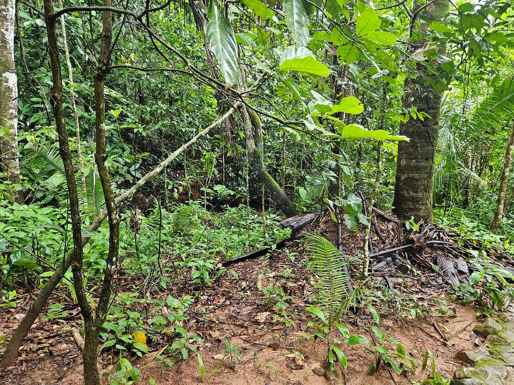 Scenic Nature Trail