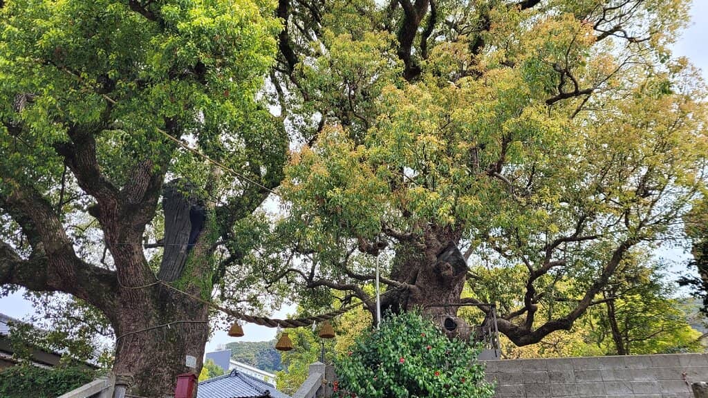 Sanno Shrine