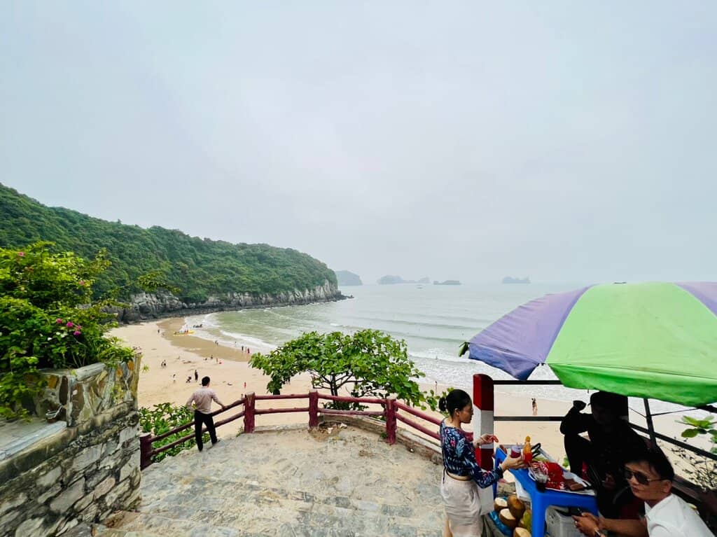 Cat Co 2 Beach