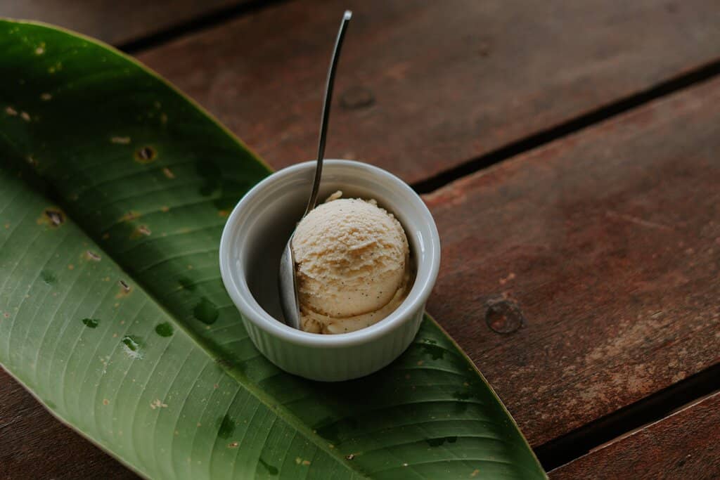 Aromatic Spice Garden