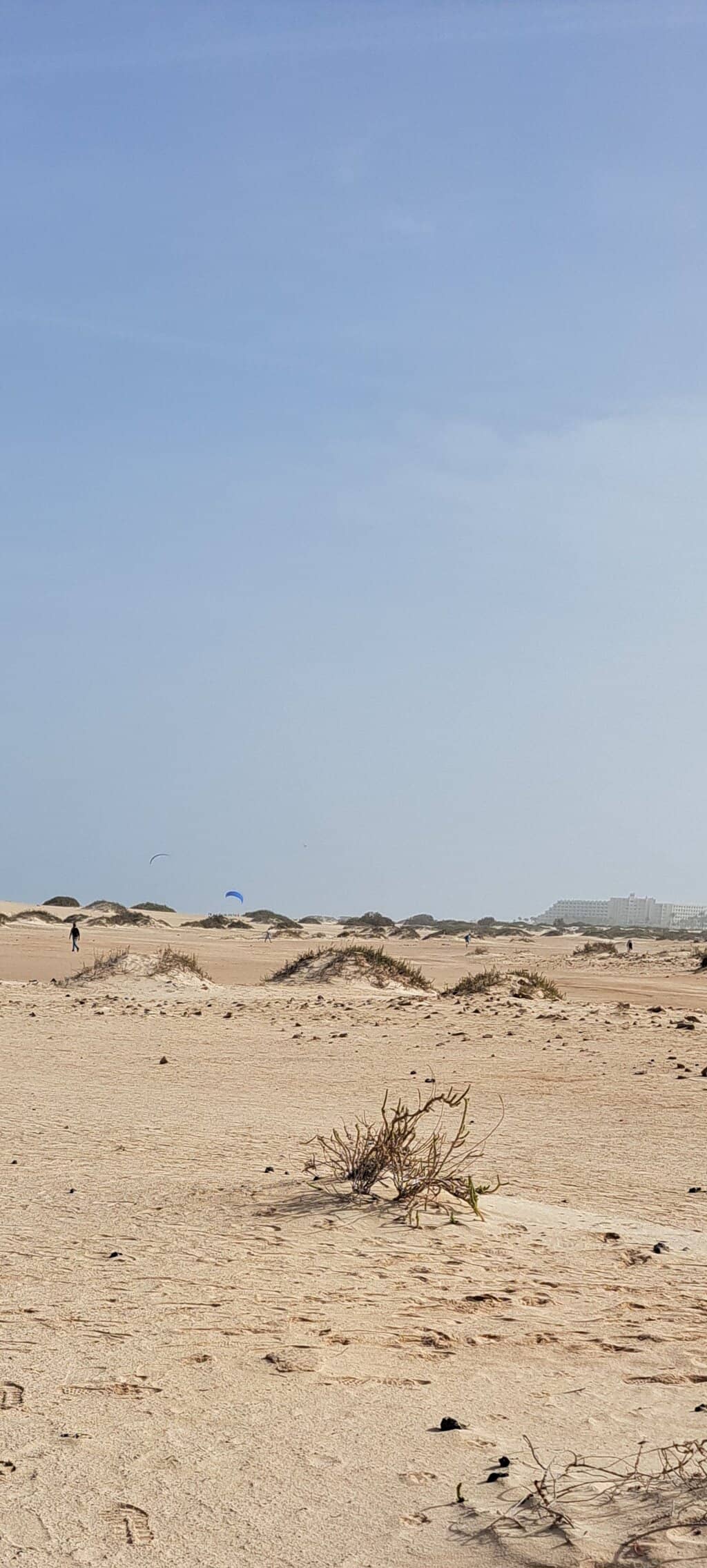 Wind Sports Paradise