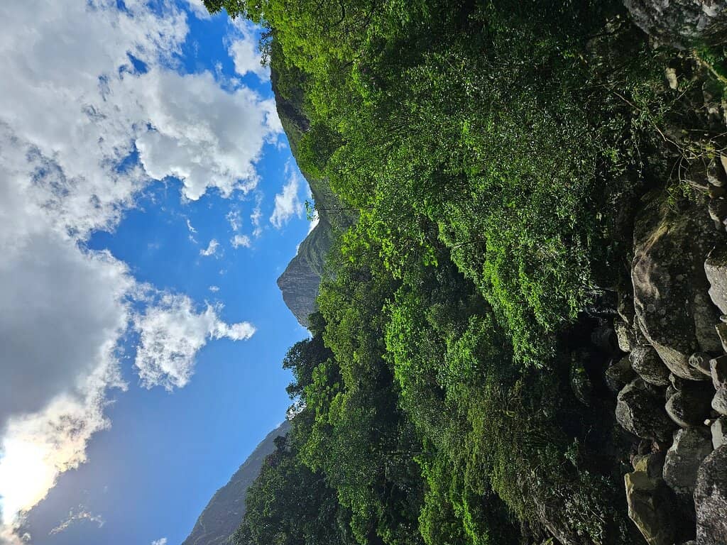 Panoramic Canyon Views