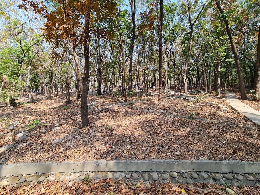Picnic & BBQ Areas