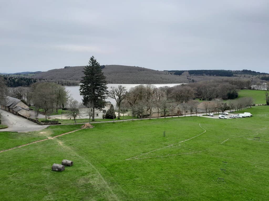 David Jones' 'Green Place with Red Ants'