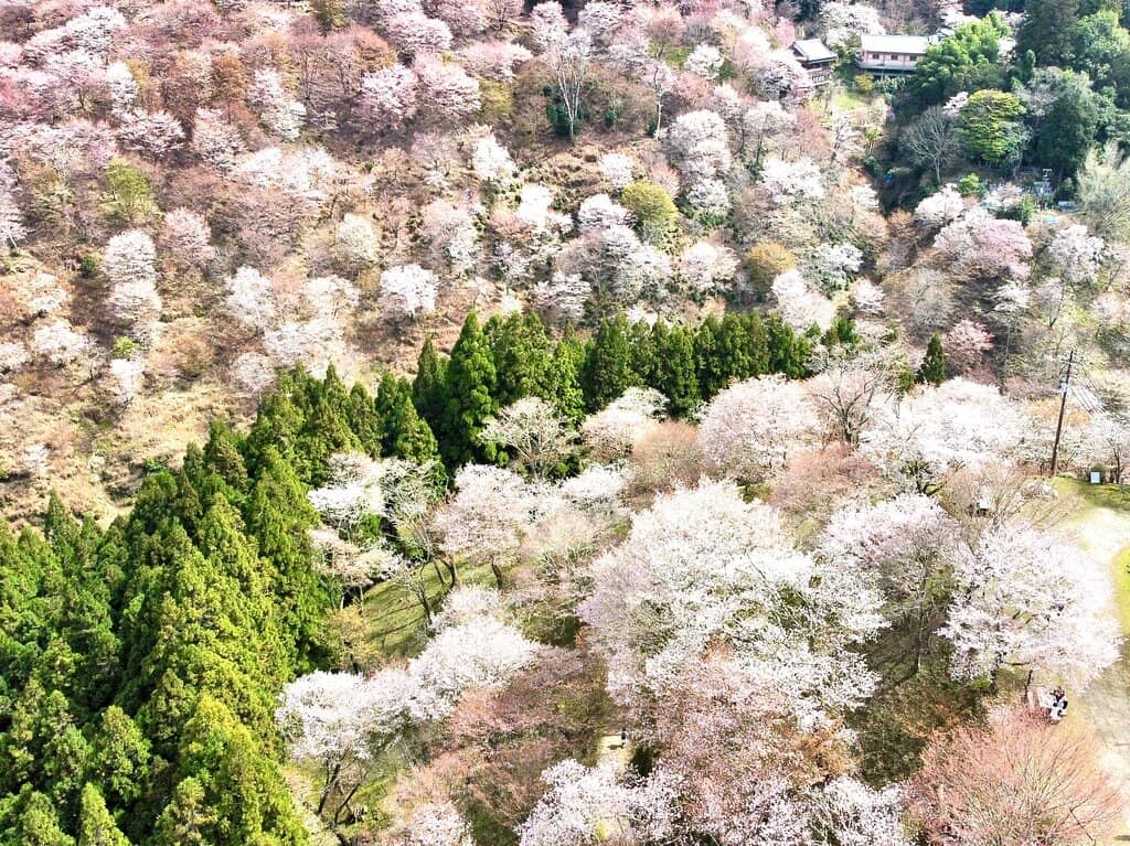 Hanayagura Observatory