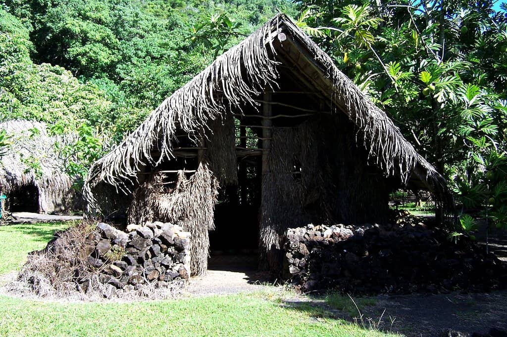 Wailua River Kayaking