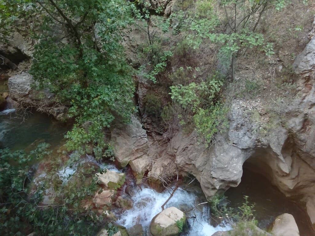 Vertical photo