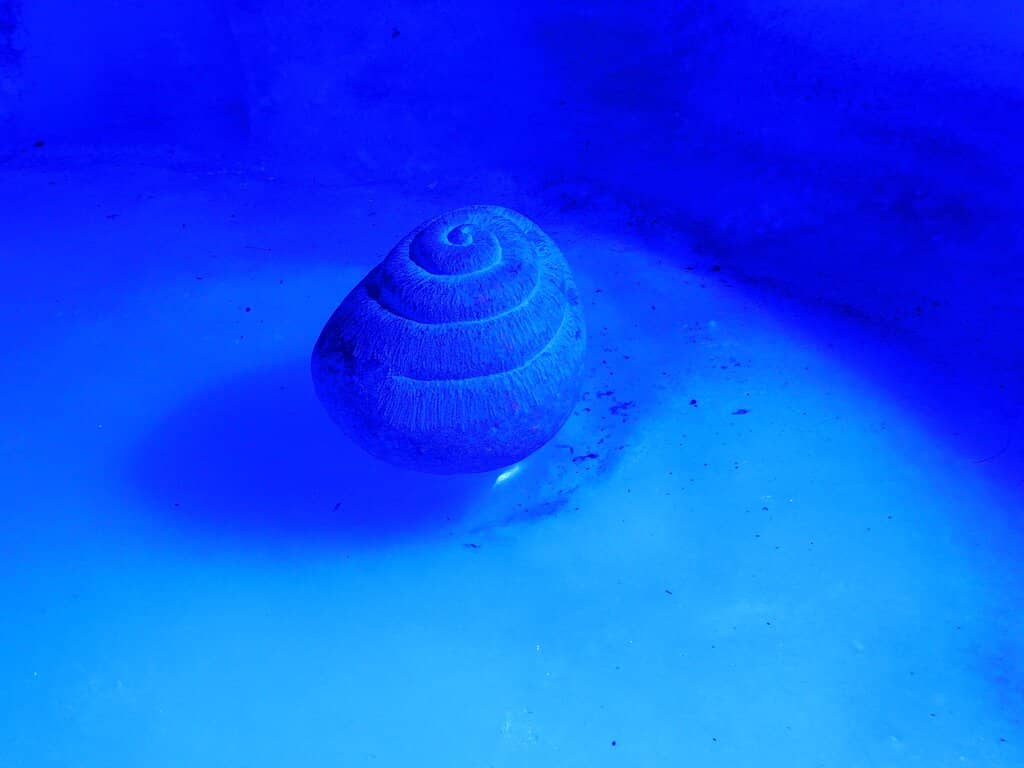 Glacier Cave