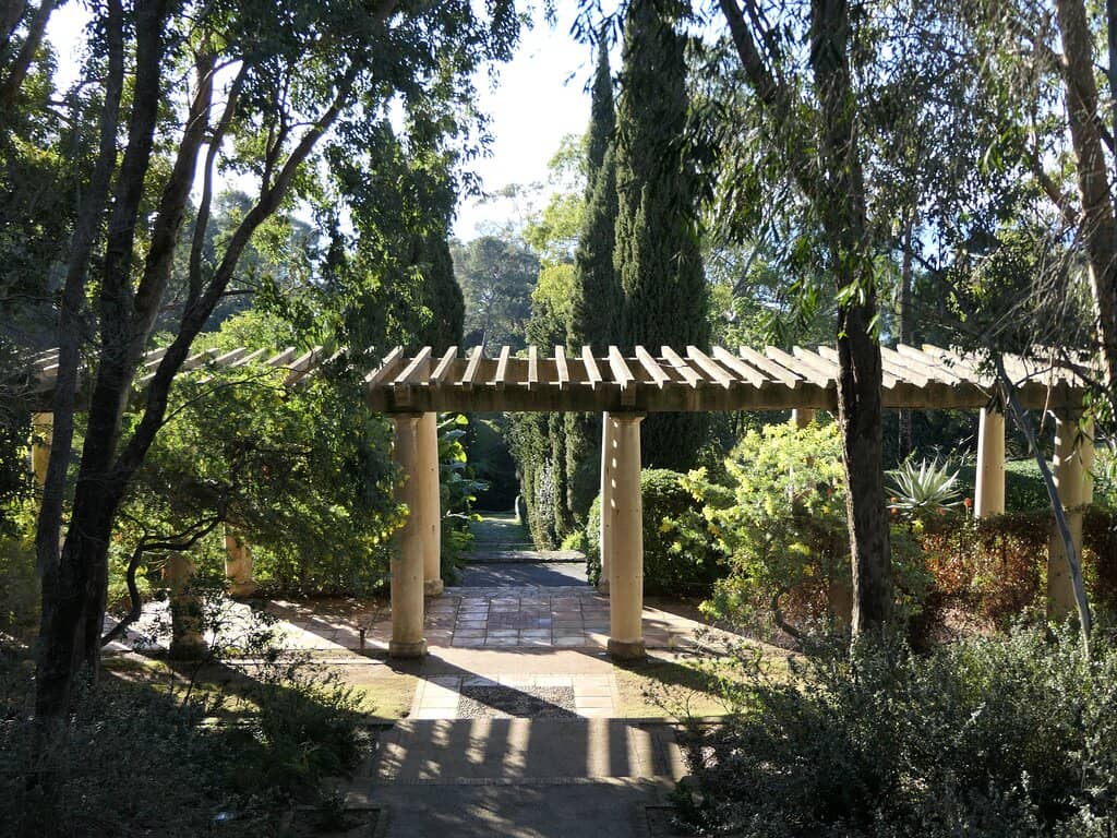 Mediterranean Garden