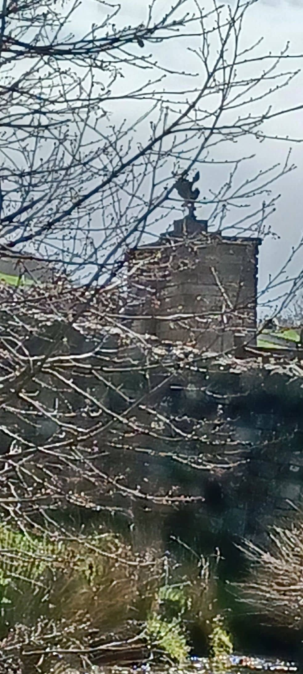 Gargrave Village Green