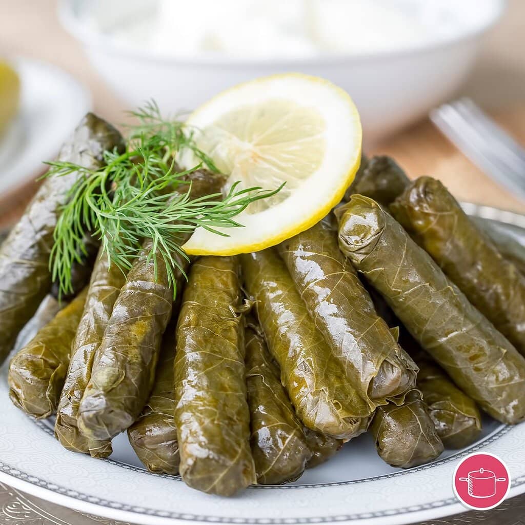 Live Belly Dance Shows