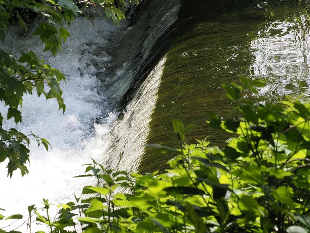 The Grand Staircase Hall