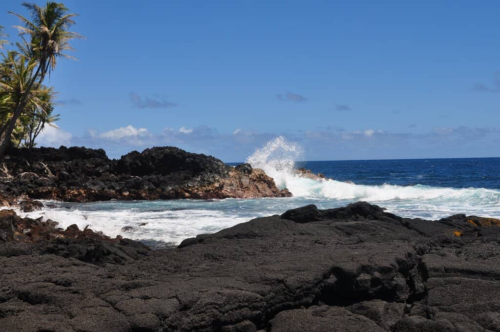Tidal Pools