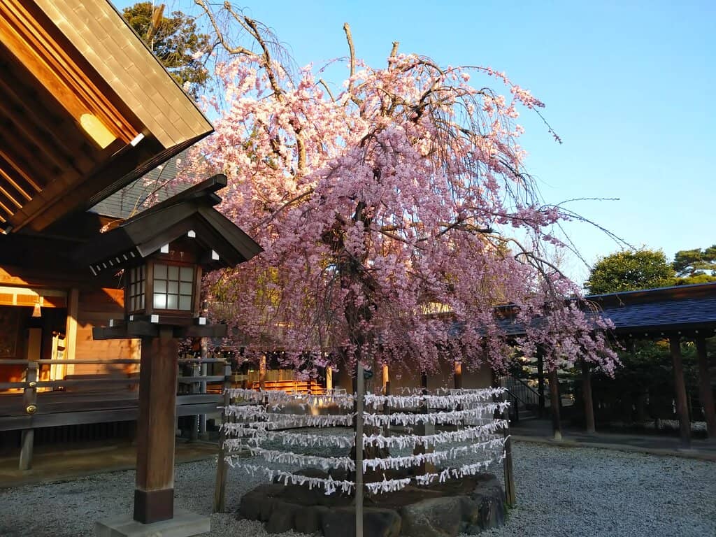 Impressive Torii Gate