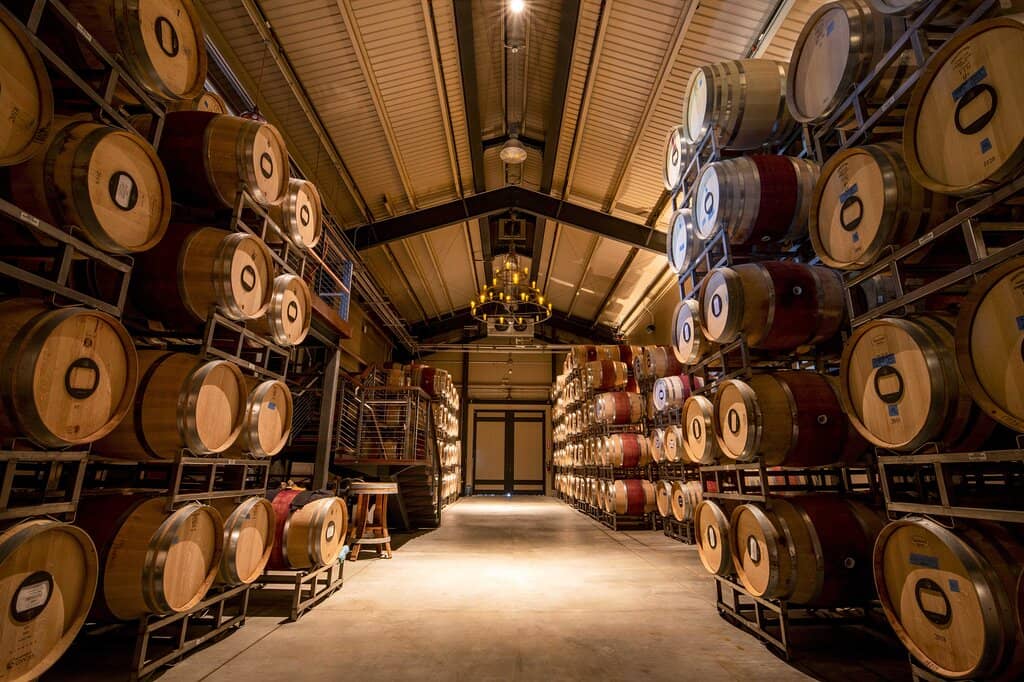 Educational Vineyard Tours