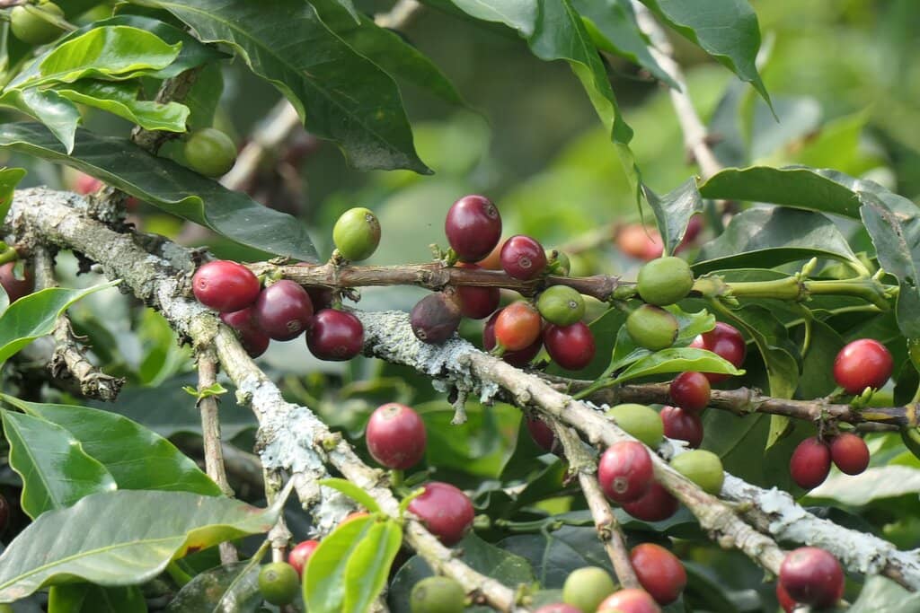 Stunning Panoramic Views