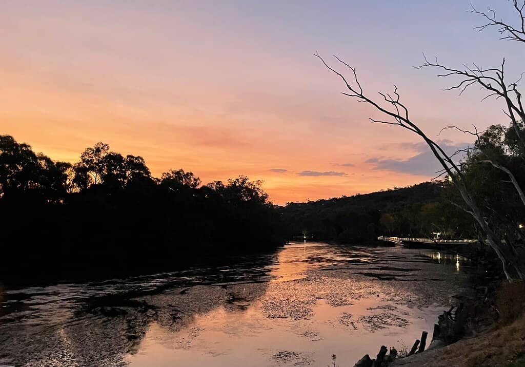 Riverside Vibes Festival