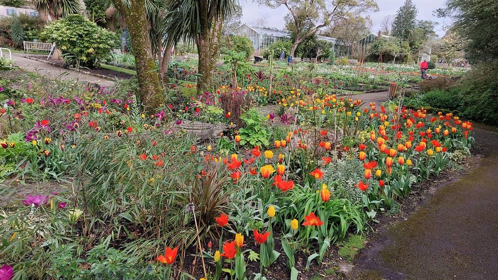 Open Lawns & Play Areas