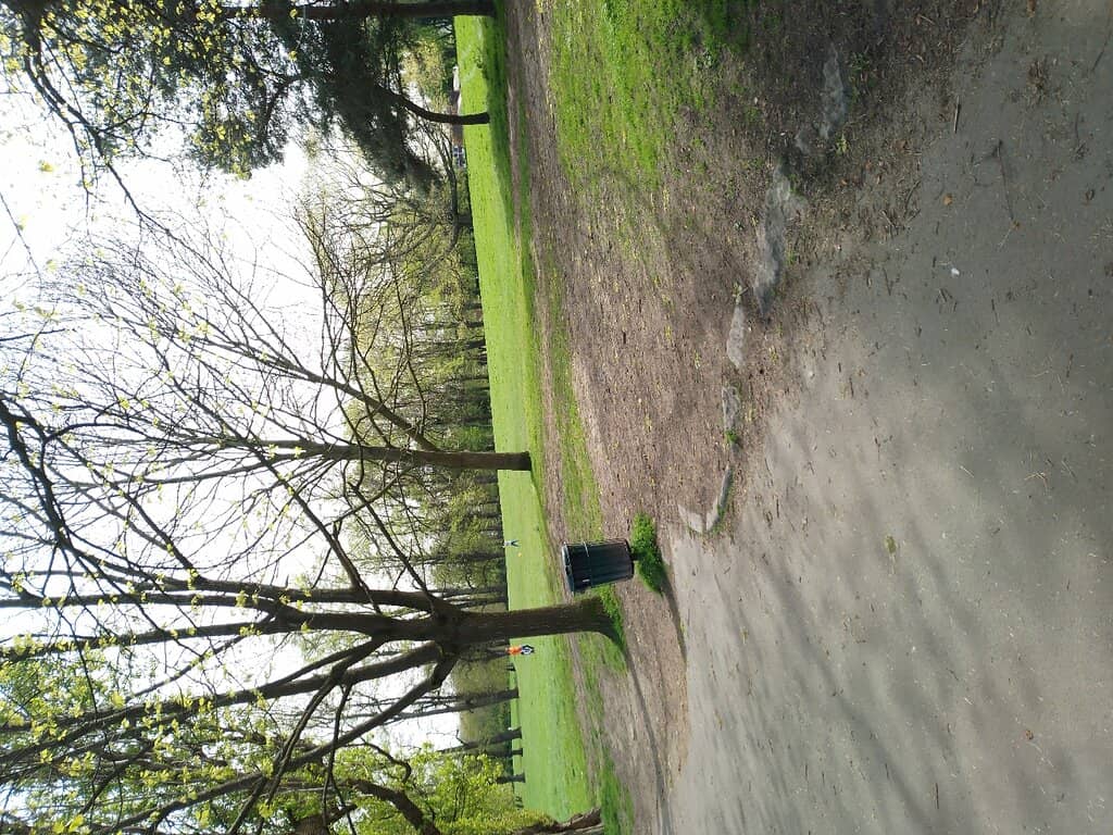 Children's Playground