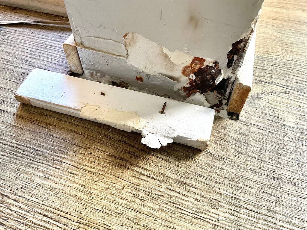 Native Vegetation Trail