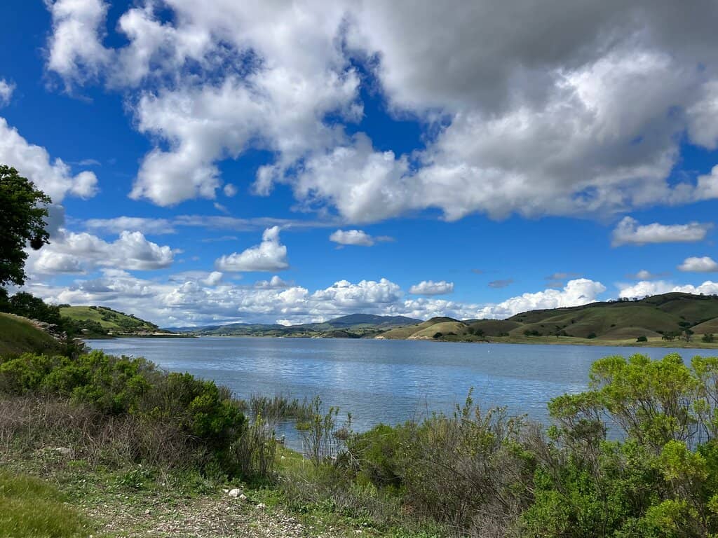 Rainbow Trout Fishing