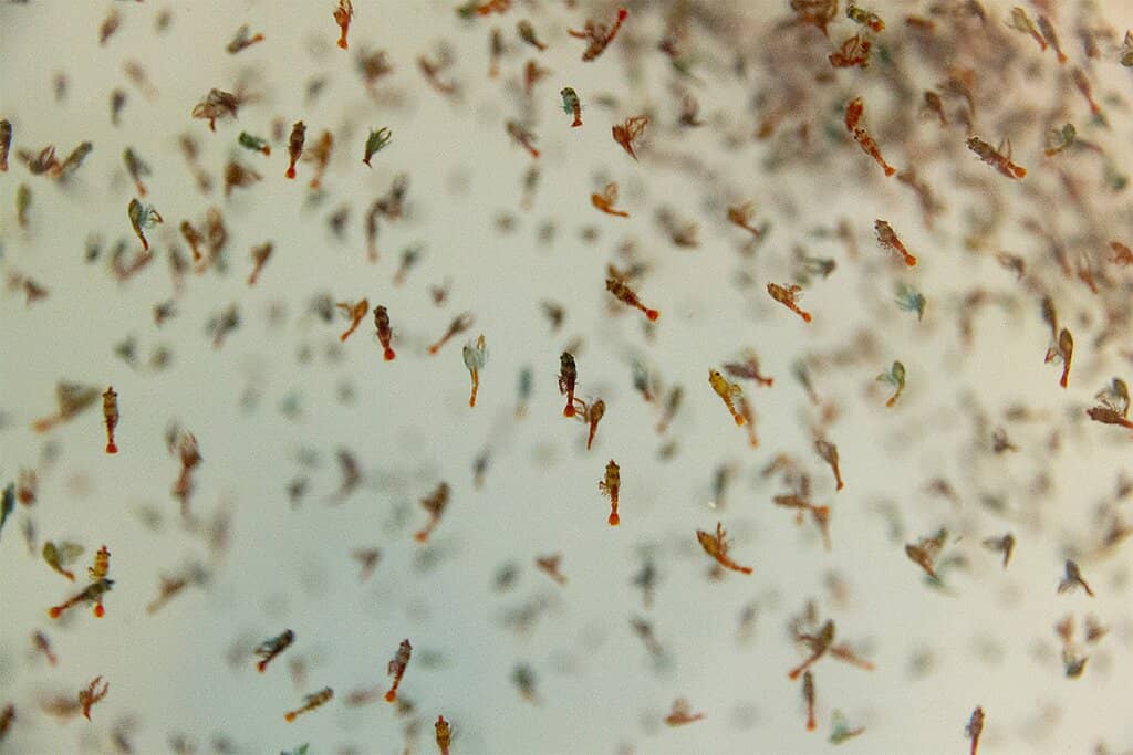 Interactive Exhibits