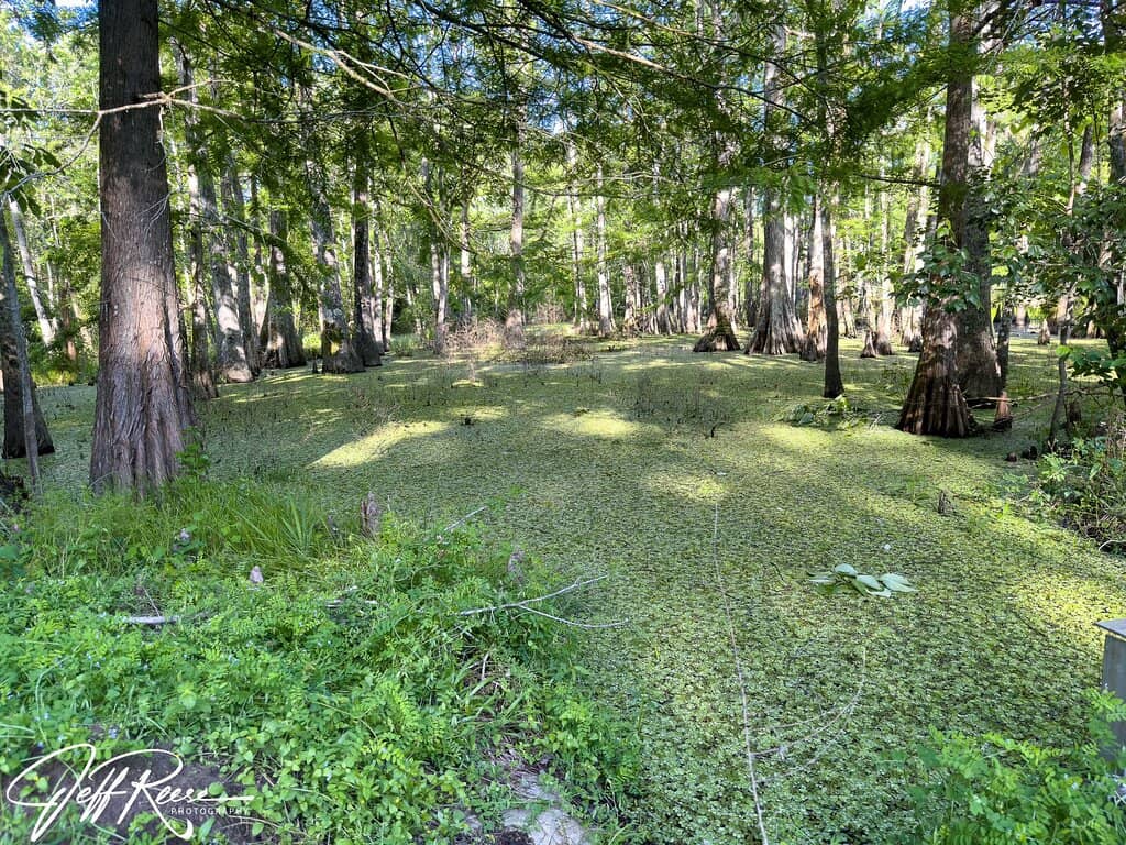 Boardwalk Trails