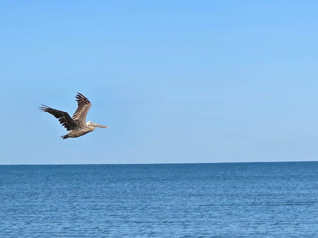 Spectacular Sunset Views