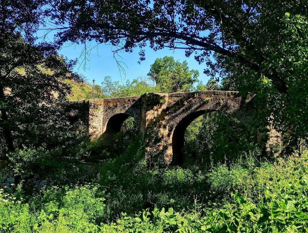 Jerte River Banks