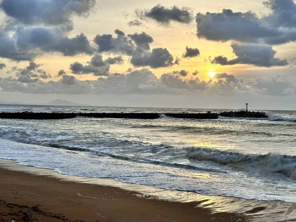 Surfing Paradise