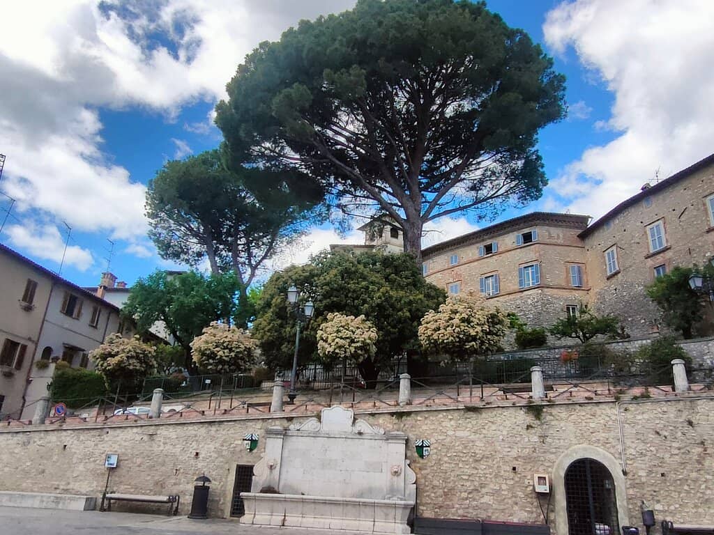 Street Food Delights