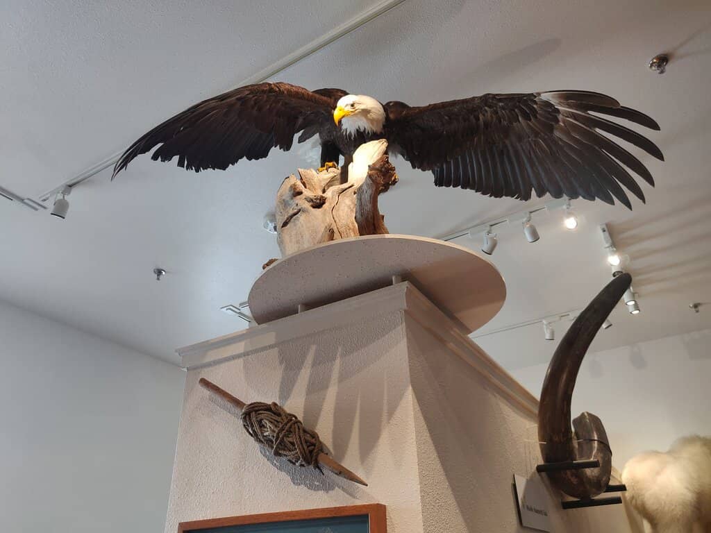 World War II History