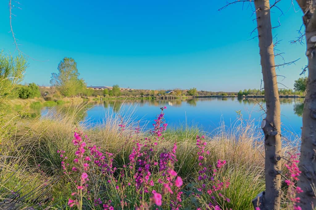 Historic Ranch Buildings
