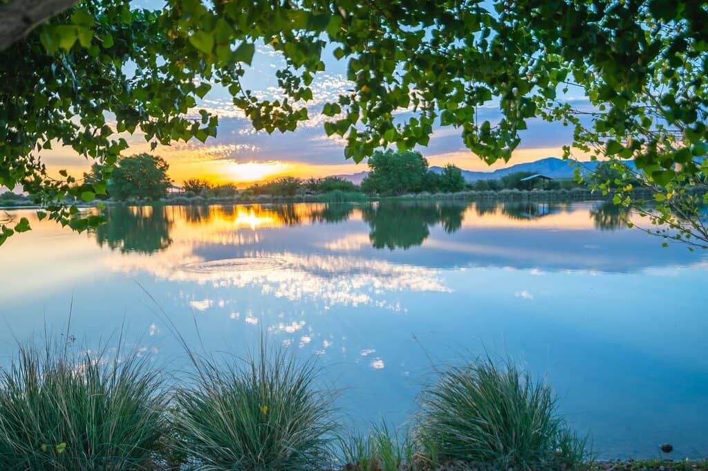 Santa Rita Mountain Views