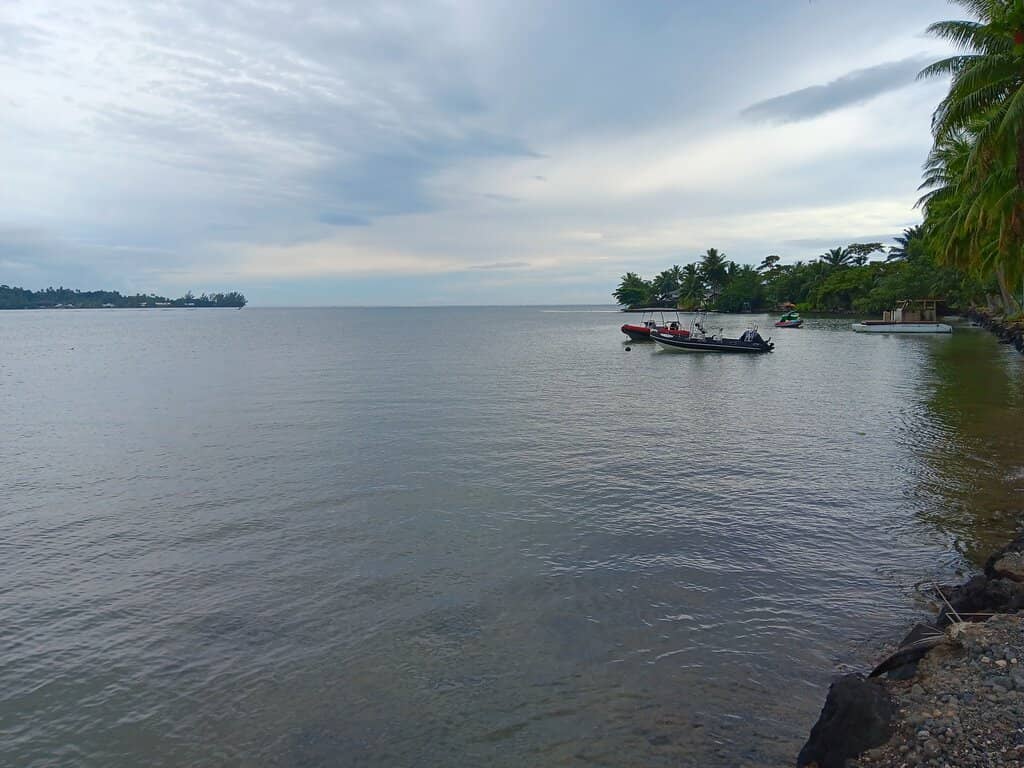 Highlights