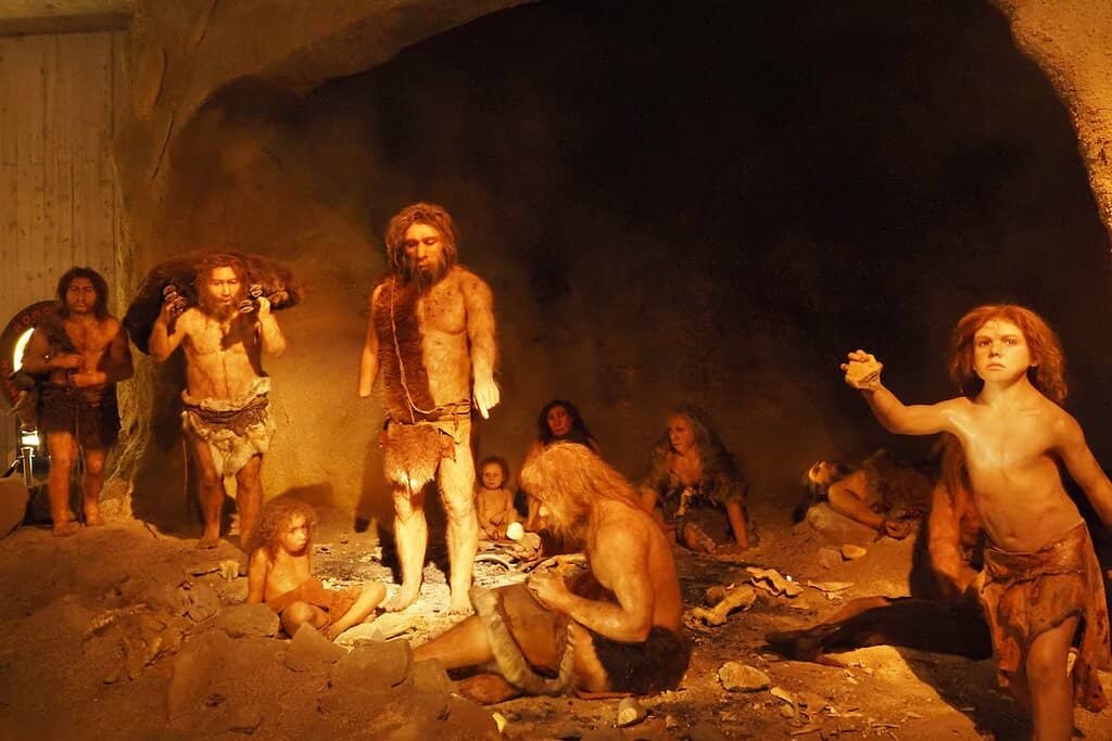 Human Evolution Exhibits