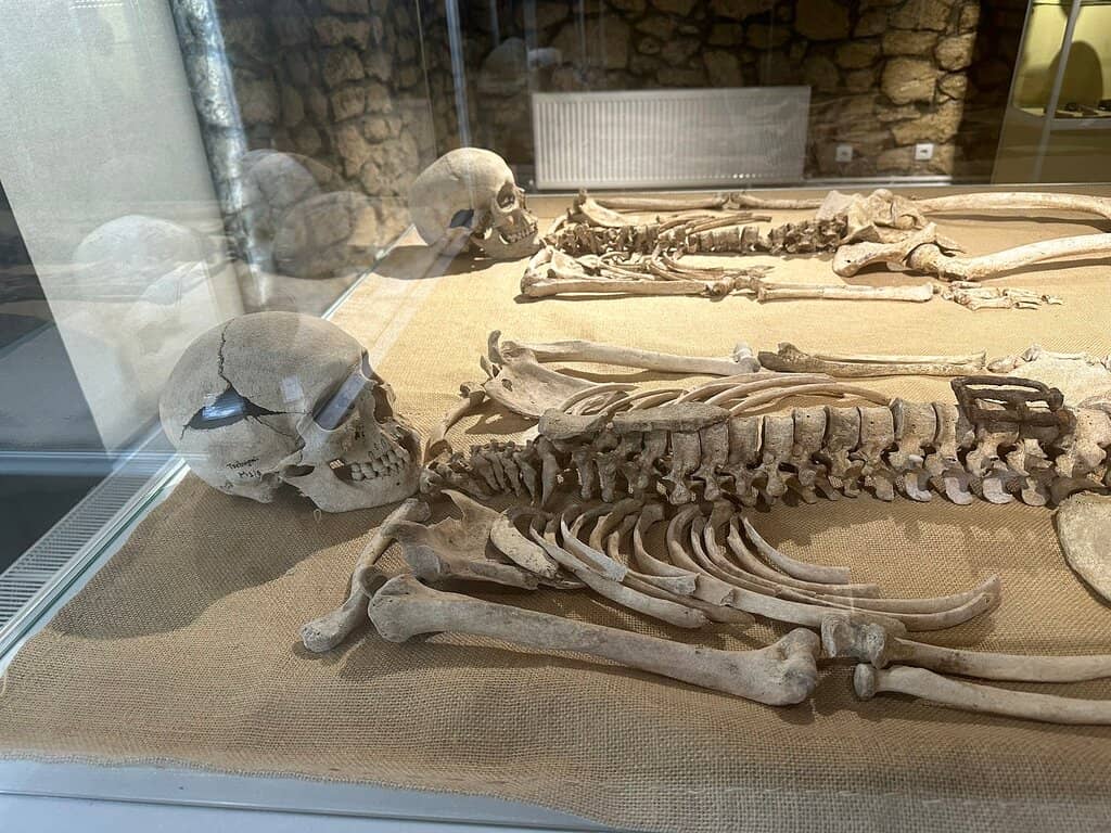 Butuceni Village Houses