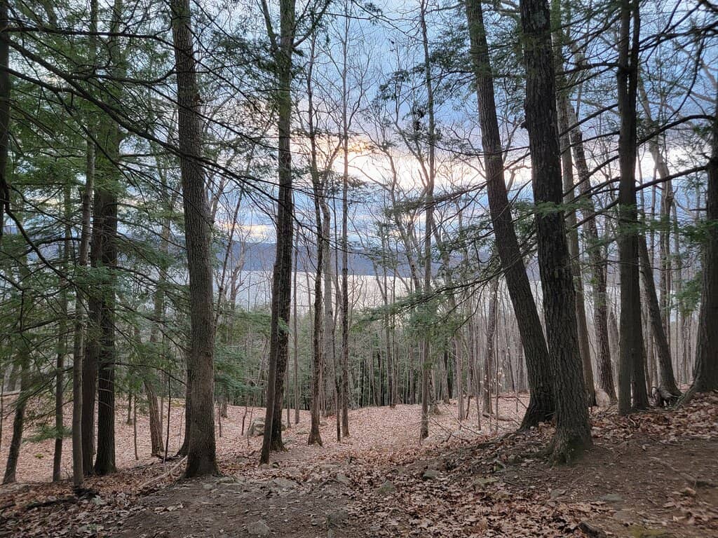 Stream Crossings