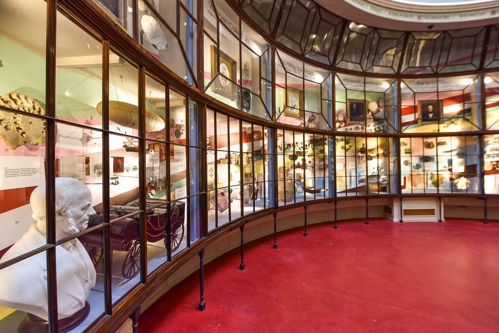 Fossil and Geological Displays