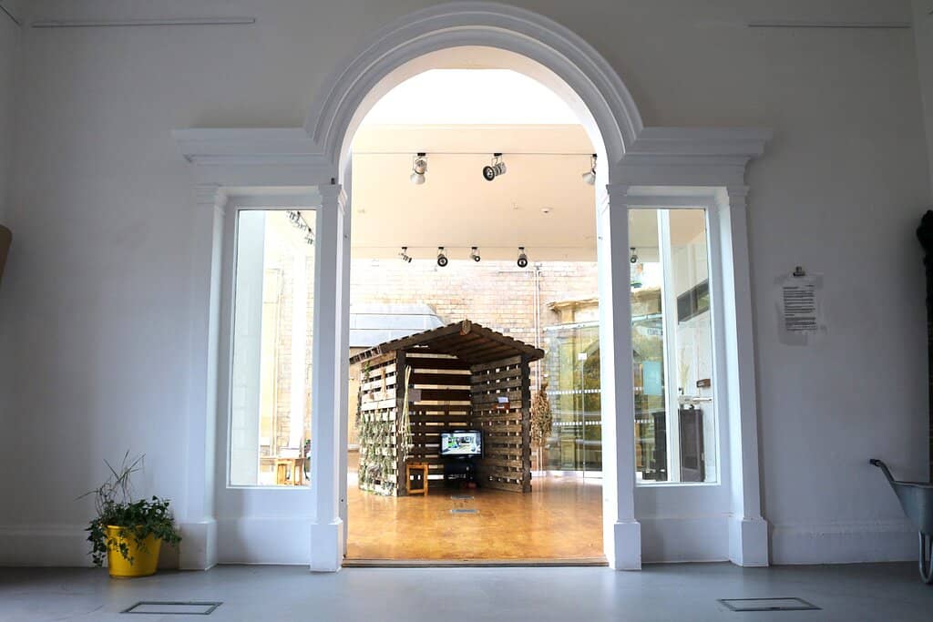 Local Artist Exhibitions